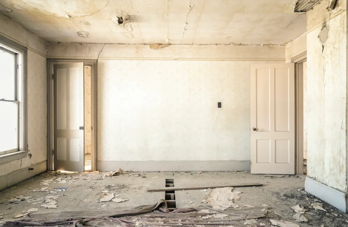 Waste disposal crew managing a cleanout project in Effingham